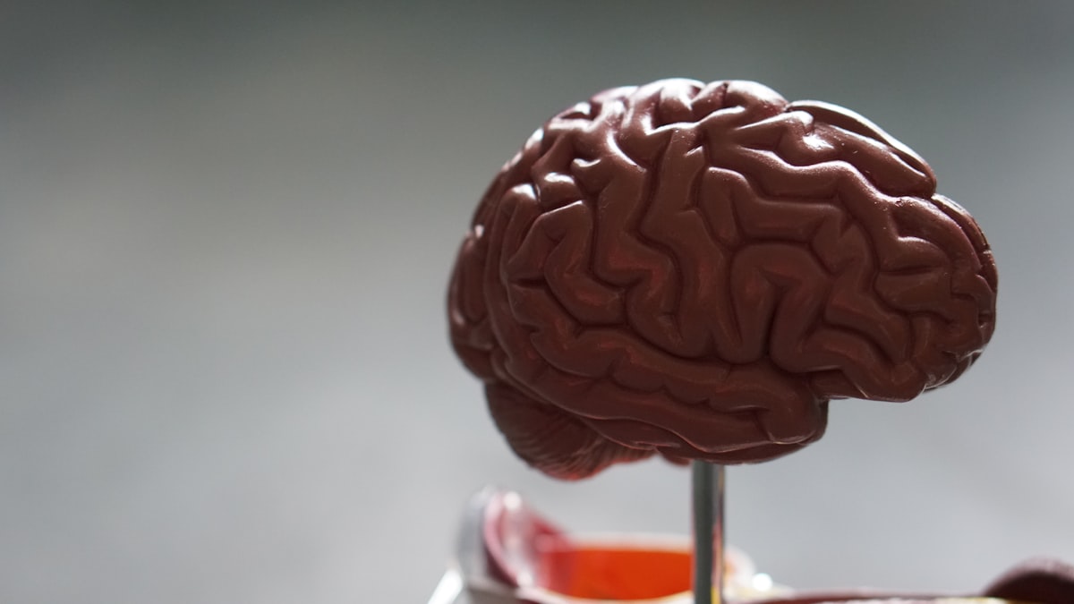 갱년기 어지럼증·이석증(BPPV) — 폐경 후 어지럼이 폭발하는 4가지 호르몬 메커니즘과 회복 4단계 (2026 임상 가이드)