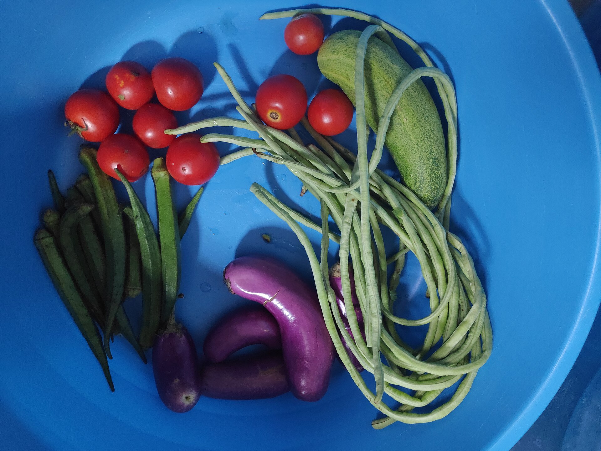 토마토, 가지, 오크라 등 신선한 채소